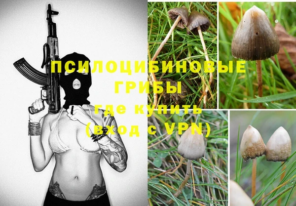 соль курить ск Михайловск