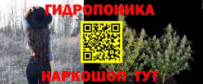 мяу мяу кристалл Малоярославец