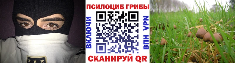 Галлюциногенные грибы прущие грибы  Слободской 