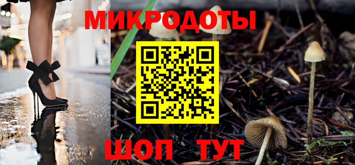 Слободской  Псилоцибиновые грибы мухоморы  Вход с VPN 